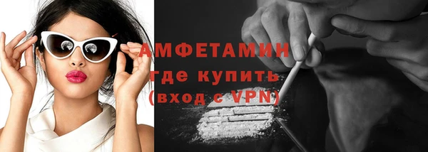 ECSTASY Бородино