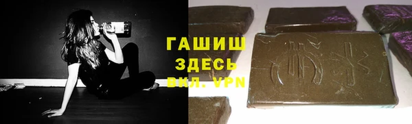 ECSTASY Бородино