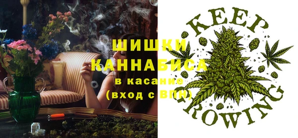 ECSTASY Бородино