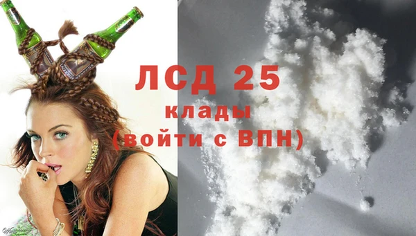 ECSTASY Бородино