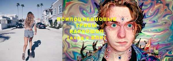 ECSTASY Бородино