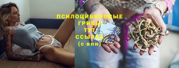СК Бугульма