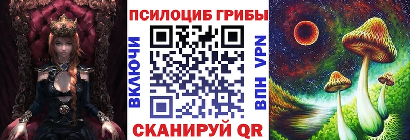 Купить закладки  Сысерть  Псилоцибиновые грибы прущие грибы 